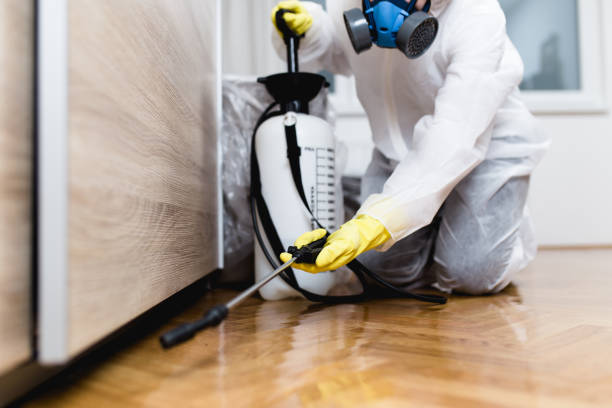 Best Wasp Removal Services  in Weedpatch, CA