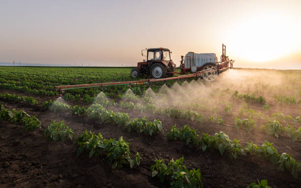 Best Pest Removal Services  in Weedpatch, CA